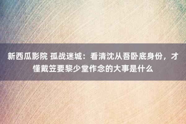 新西瓜影院 孤战迷城：看清沈从吾卧底身份，才懂戴笠要黎少堂作念的大事是什么