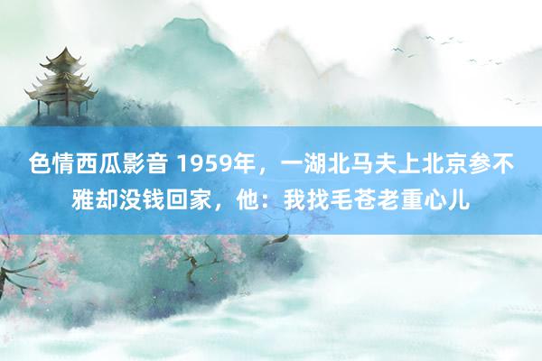 色情西瓜影音 1959年，一湖北马夫上北京参不雅却没钱回家，他：我找毛苍老重心儿