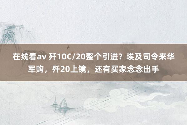 在线看av 歼10C/20整个引进？埃及司令来华军购，歼20上镜，还有买家念念出手