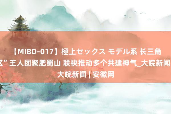 【MIBD-017】極上セックス モデル系 长三角“C9城区”王人团聚肥蜀山 联袂推动多个共建神气_大皖新闻 | 安徽网