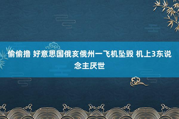 偷偷撸 好意思国俄亥俄州一飞机坠毁 机上3东说念主厌世