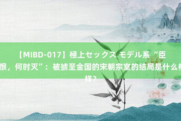 【MIBD-017】極上セックス モデル系 “臣子恨，何时灭”：被掳至金国的宋朝宗室的结局是什么样？