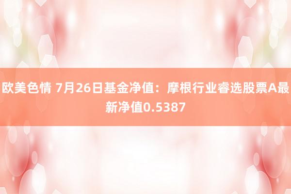 欧美色情 7月26日基金净值：摩根行业睿选股票A最新净值0.5387