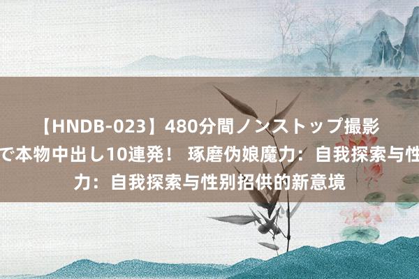 【HNDB-023】480分間ノンストップ撮影 ノーカット編集で本物中出し10連発！ 琢磨伪娘魔力：自我探索与性别招供的新意境