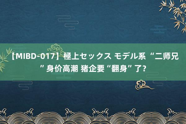 【MIBD-017】極上セックス モデル系 “二师兄”身价高潮 猪企要“翻身”了？