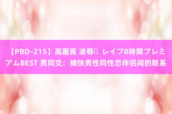 【PBD-215】高画質 凌辱・レイプ8時間プレミアムBEST 男同交：捕快男性同性恋伴侣间的联系