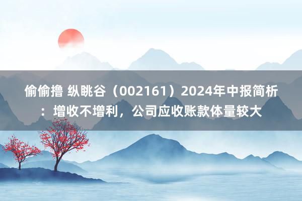 偷偷撸 纵眺谷（002161）2024年中报简析：增收不增利，公司应收账款体量较大