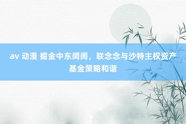 av 动漫 掘金中东阛阓，联念念与沙特主权资产基金策略和谐