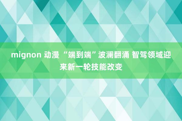 mignon 动漫 “端到端”波澜翻涌 智驾领域迎来新一轮技能改变