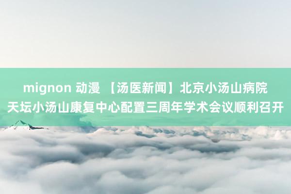 mignon 动漫 【汤医新闻】北京小汤山病院天坛小汤山康复中心配置三周年学术会议顺利召开