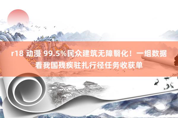 r18 动漫 99.5%民众建筑无障翳化！一组数据看我国残疾驻扎行径任务收获单