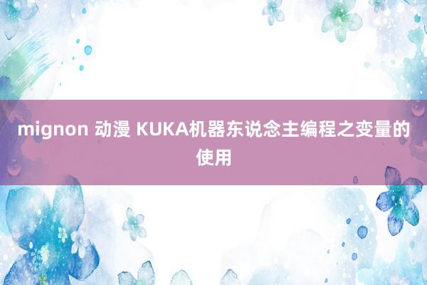 mignon 动漫 KUKA机器东说念主编程之变量的使用