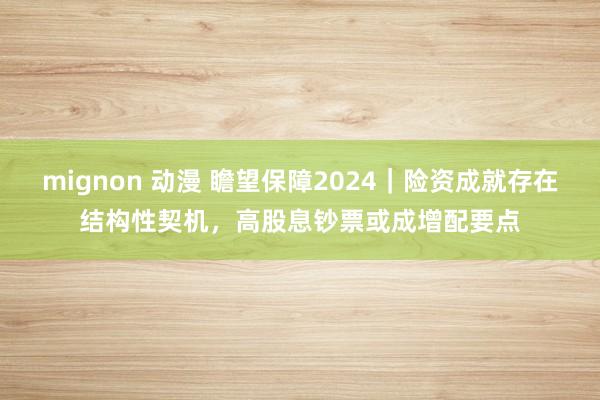 mignon 动漫 瞻望保障2024｜险资成就存在结构性契机，高股息钞票或成增配要点