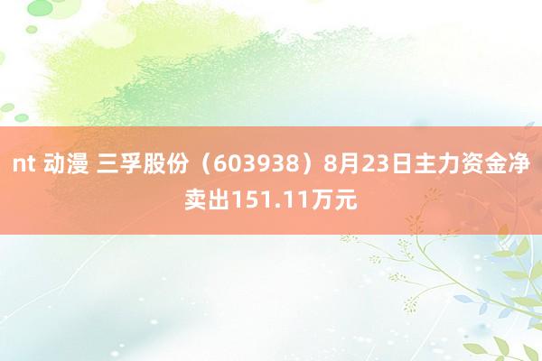 nt 动漫 三孚股份（603938）8月23日主力资金净卖出151.11万元