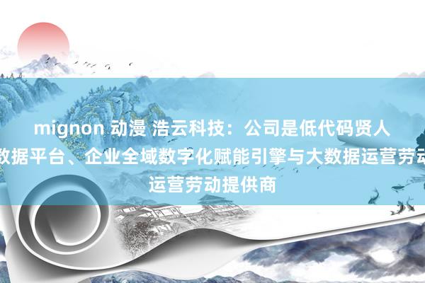 mignon 动漫 浩云科技：公司是低代码贤人物联网数据平台、企业全域数字化赋能引擎与大数据运营劳动提供商